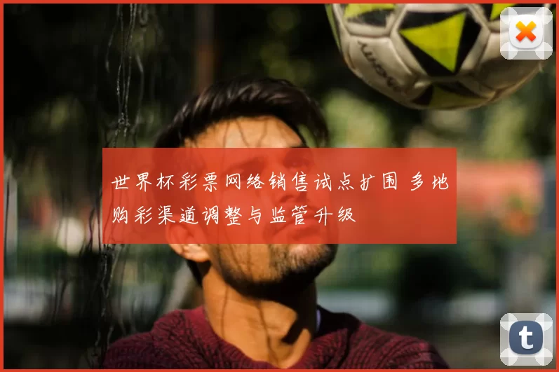 世界杯彩票网络销售试点扩围 多地购彩渠道调整与监管升级
