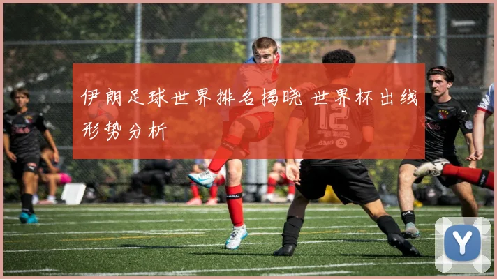 伊朗足球世界排名揭晓 世界杯出线形势分析